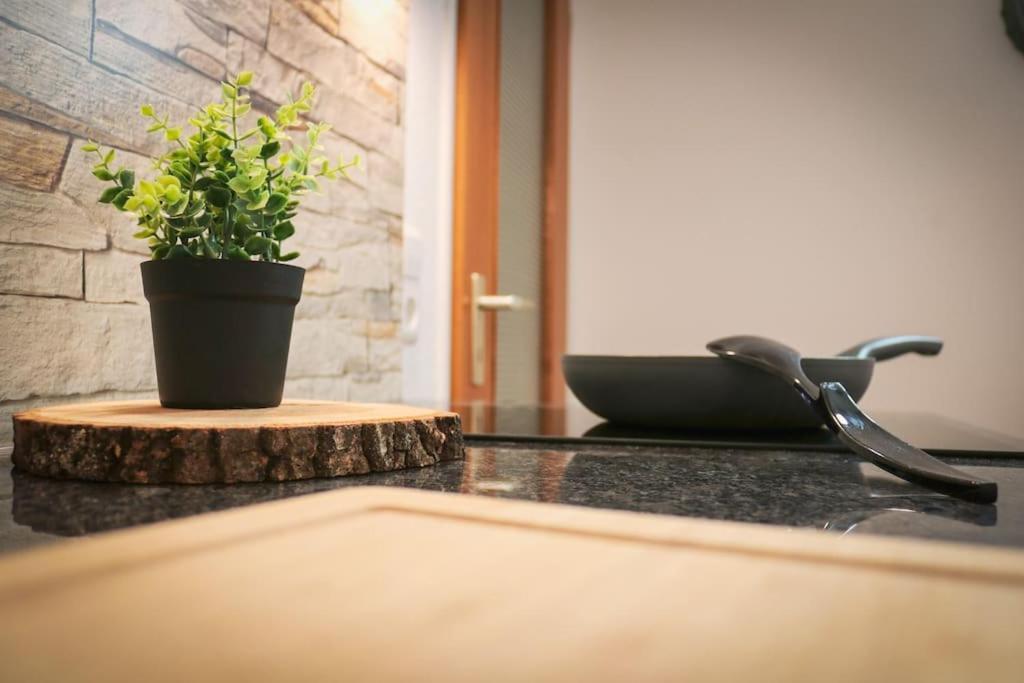 Apartement Nathalie - Wellness Mit Pool Und Sauna Schluchsee Dış mekan fotoğraf